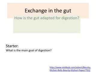Exchange in the gut