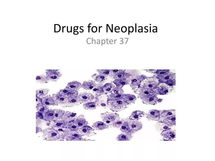 drugs for neoplasia