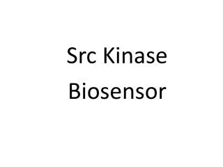 Src Kinase Biosensor