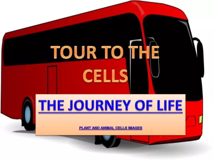 the journey of life plant and animal cells images