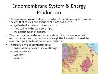 Endomembrane System &amp; Energy Production