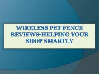 Wireless Pet Fence Reviews-Helping Your Shop Smartly