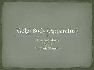 Golgi Body (Apparatus)