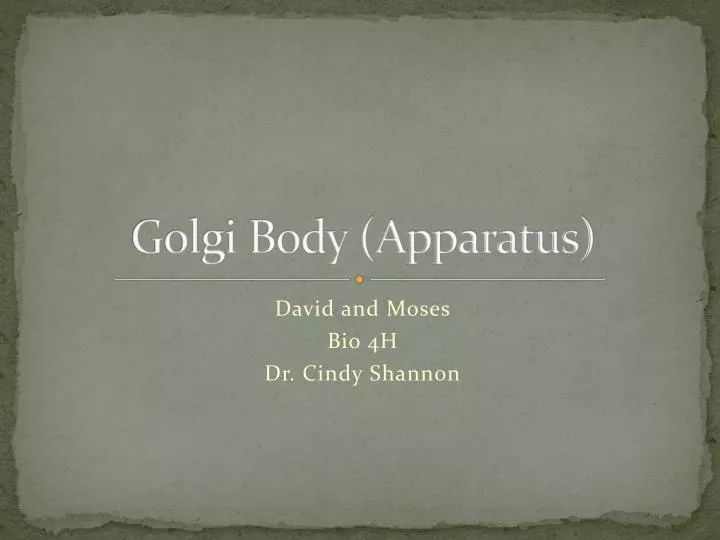 golgi body apparatus