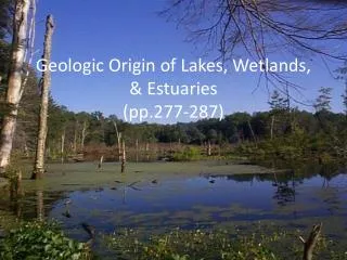 Geologic Origin of Lakes, Wetlands, &amp; Estuaries (pp.277-287)