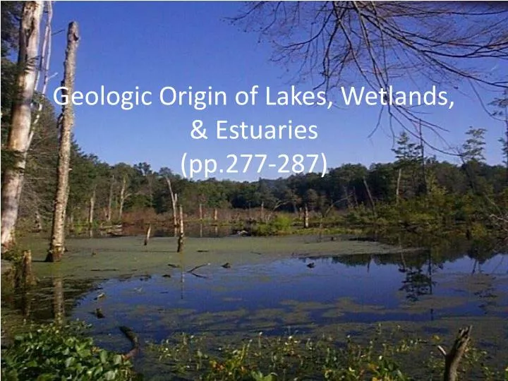 geologic origin of lakes wetlands estuaries pp 277 287