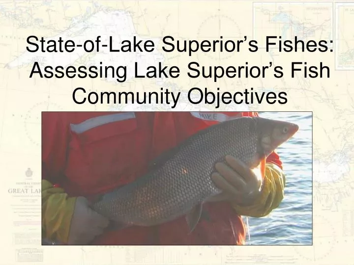 state of lake superior s fishes assessing lake superior s fish community objectives