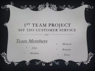 1 st Team Project SST 3203 Customer Service