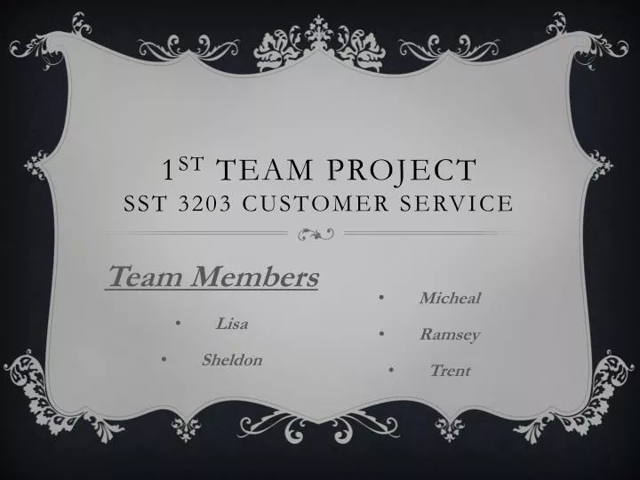 1 st team project sst 3203 customer service