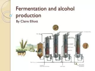Fermentation and alcohol production