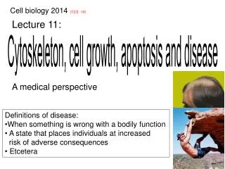 Cytoskeleton, cell growth, apoptosis and disease