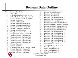 Boolean Data Outline