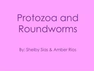 Protozoa and Roundworms