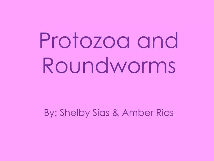 protozoa and roundworms