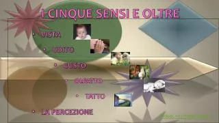 i cinque sensi e oltre