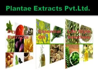 Plantae Extracts Pvt.Ltd .