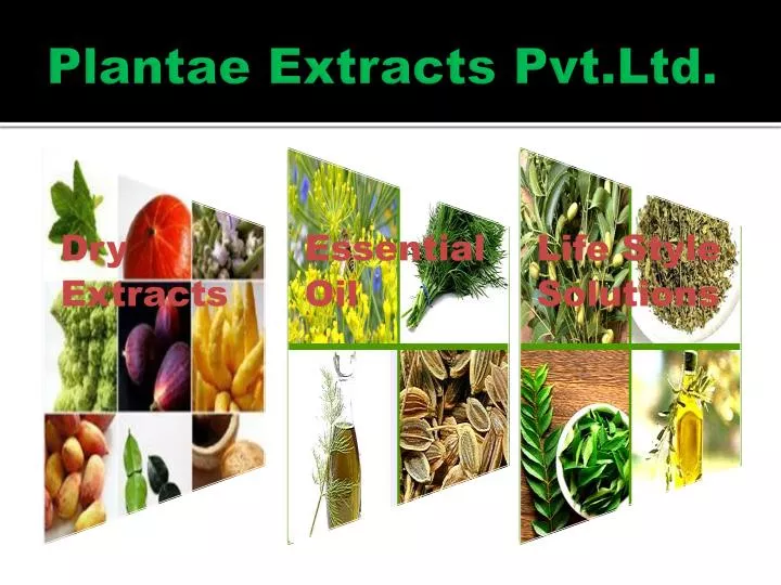 plantae extracts pvt ltd