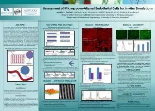Assessment of Microgroove-Aligned Endothelial Cells for in vitro Simulations