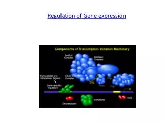 Regulation of Gene expression