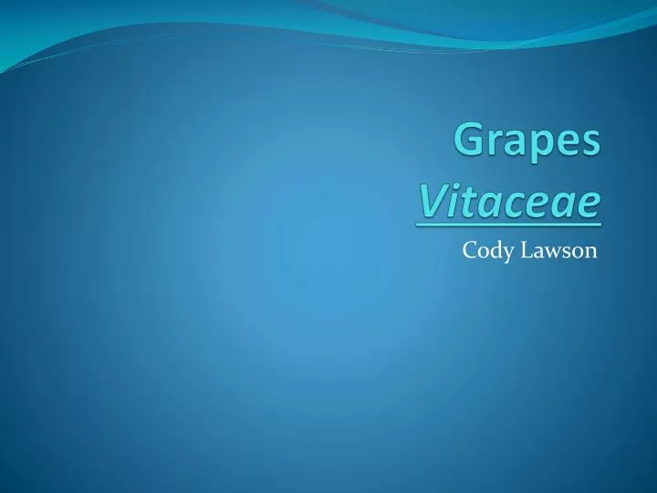 grapes vitaceae