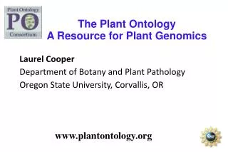 The Plant Ontology A Resource for Plant Genomics