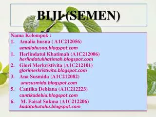 biji semen