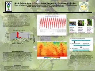 North Dakota State University Grape Germplasm Enhancement Project