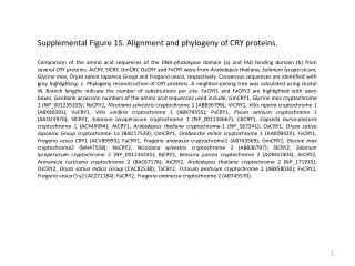 Supplemental Figure 1S. Alignment and phylogeny of CRY proteins.
