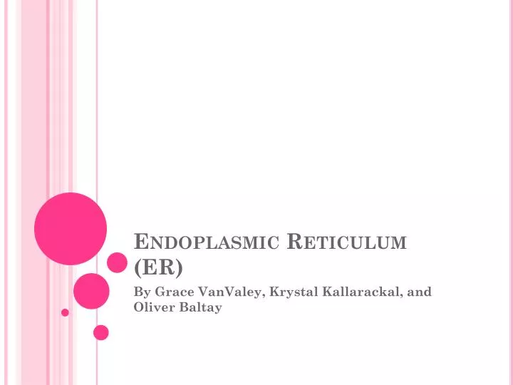 endoplasmic reticulum er