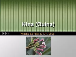 Kina (Quina)