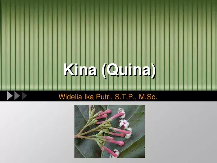 kina quina