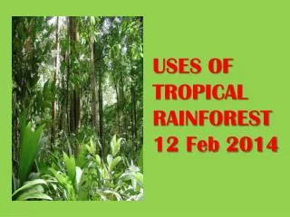 USES OF TROPICAL RAINFOREST 12 Feb 2014