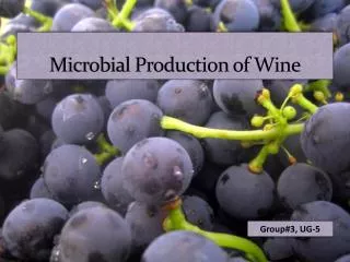 Microbial Production of Wine