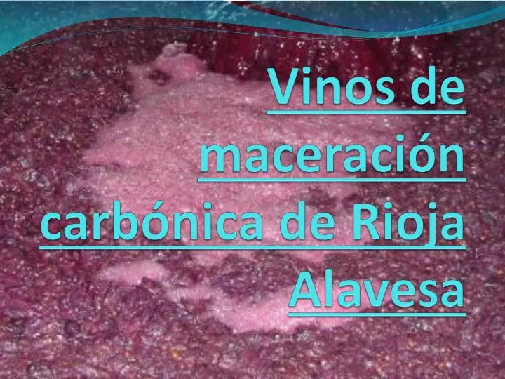 vinos de maceraci n carb nica de rioja alavesa