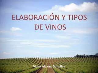 elaboraci n y tipos de vinos