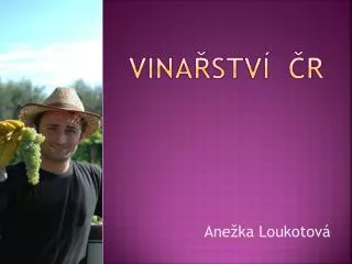 vina stv r