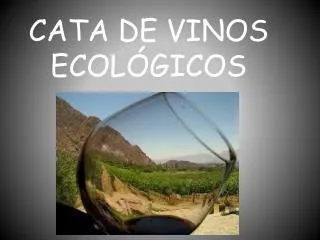 cata de vinos ecol gicos
