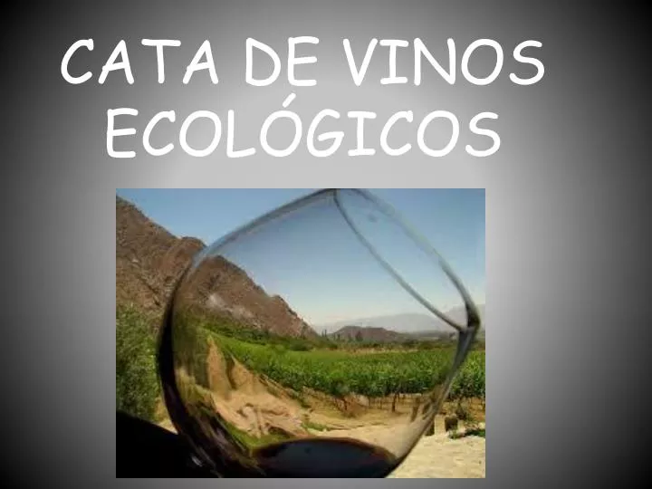 cata de vinos ecol gicos