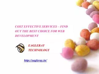 COST EFFECTIVE SERVICES - EagleRay Technology
