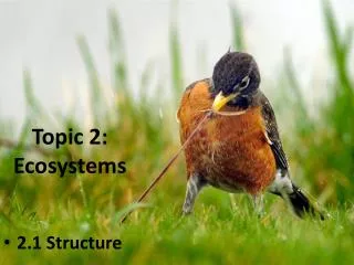 Topic 2: Ecosystems
