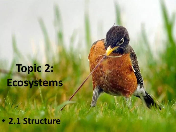 topic 2 ecosystems