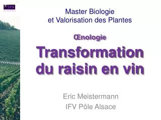 nologie transformation du raisin en vin
