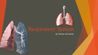 Respiratory System