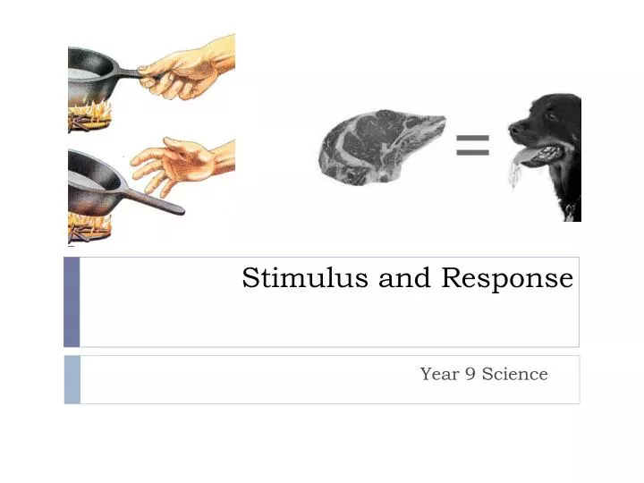 stimulus and response