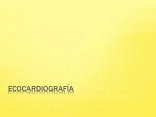 ecocardiograf a