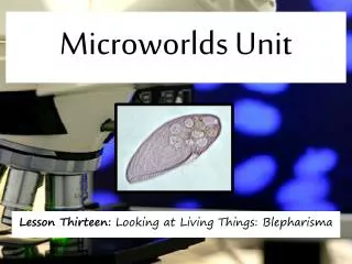 Microworlds Unit