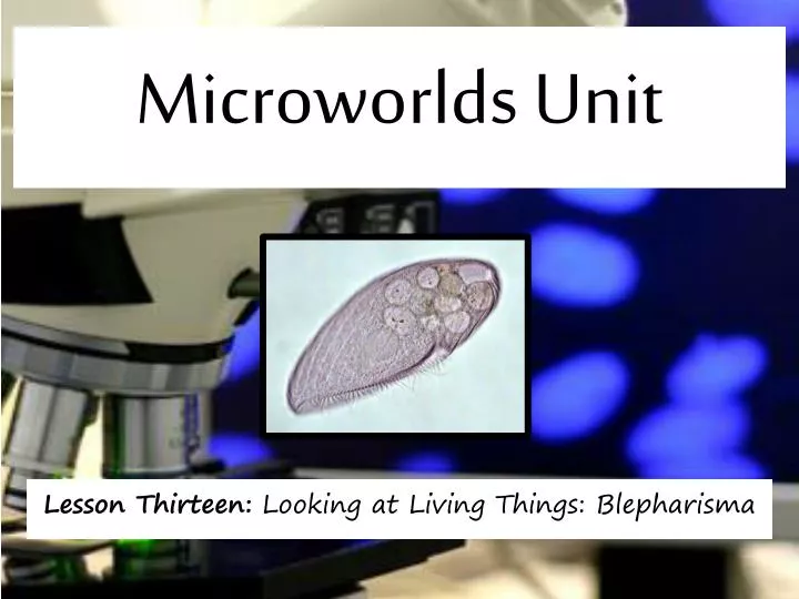 microworlds unit