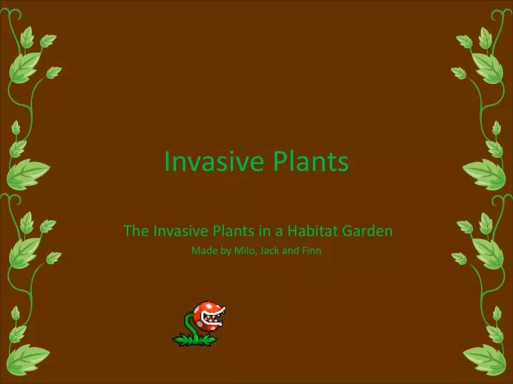 invasive plants