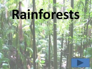 Rainforests