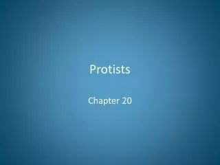 Protists